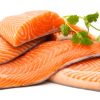 Salmon