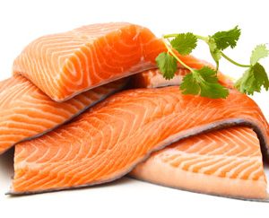 Salmon