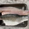 Sea Bass Fillets - x2