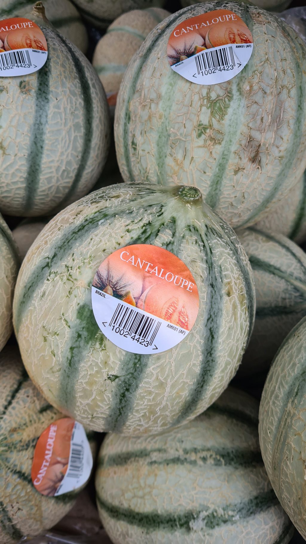 Cantaloupe Melon. New Season Brazilian Fred Hallam